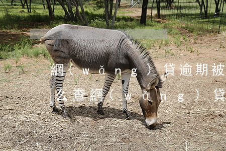 網(wǎng)貸逾期被起訴怎么查看-怎么查網(wǎng)貸逾期有沒有被起訴