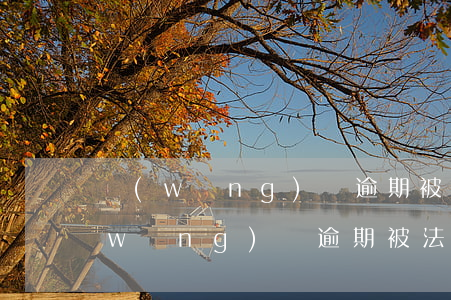 網(wǎng)貸逾期被起訴怎么查看(網(wǎng)貸逾期被法院起訴怎么辦)