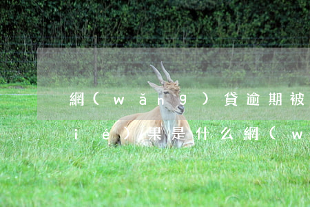 網(wǎng)貸逾期被起訴最后的結(jié)果是什么 網(wǎng)貸逾期被起訴是好事嗎