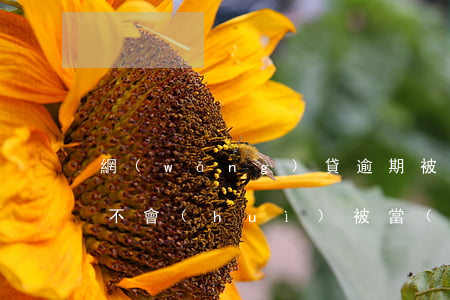 網(wǎng)貸逾期被起訴會(huì)不會(huì)被當(dāng)成老賴(lài)-網(wǎng)貸逾期被起訴會(huì)不會(huì)被當(dāng)成老賴(lài)呢