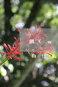 網(wǎng)貸逾期被起訴會(huì)有什么后果(網(wǎng)貸逾期真會(huì)起訴嗎)