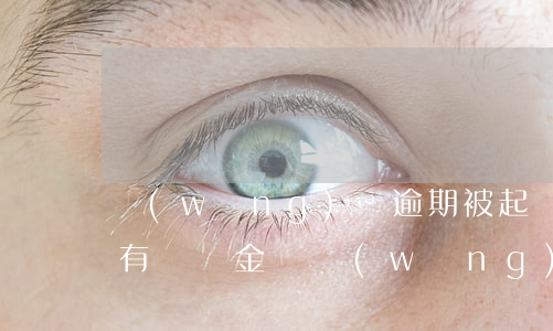 網(wǎng)貸逾期被起訴會(huì)有違約金嗎(網(wǎng)貸逾期觸犯合同法嗎)