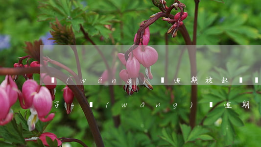 網(wǎng)貸逾期被起訴會不會查封車子-網(wǎng)貸逾期會被銀行起訴嗎