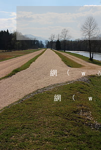 網(wǎng)貸逾期被起訴會成失信人嗎(網(wǎng)貸逾期屬于失信人嗎)