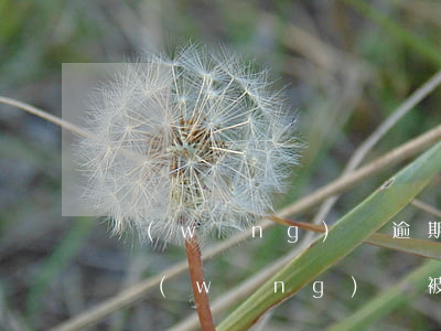 網(wǎng)貸逾期被起訴會成為老賴嗎（網(wǎng)貸被起訴會成老賴嗎）