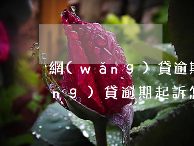 網(wǎng)貸逾期被起訴查詢(網(wǎng)貸逾期起訴怎么查詢)