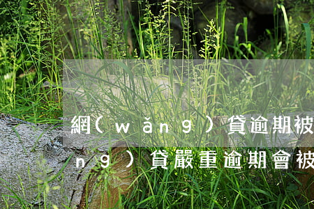網(wǎng)貸逾期被起訴條件(網(wǎng)貸嚴重逾期會被起訴嗎)