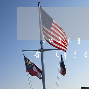 網(wǎng)貸逾期被起訴沒(méi)有錢(qián)還