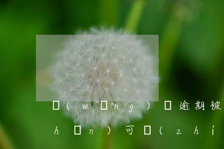 網(wǎng)貸逾期被起訴沒有財產(chǎn)可執(zhí)行-網(wǎng)貸逾期未還被訴訟怎么辦