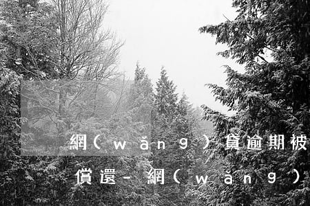 網(wǎng)貸逾期被起訴法院判后多久償還-網(wǎng)貸逾期被起訴法院判后多久償還錢