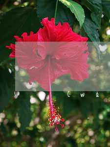 網(wǎng)貸逾期被起訴法院會短信通知嗎?-網(wǎng)貸逾期被起訴法院會短信通知嗎
