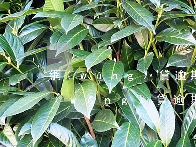 網(wǎng)貸逾期被起訴流程是多久(網(wǎng)貸逾期被起訴流程是多久)