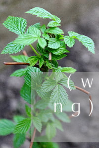 網(wǎng)貸逾期被起訴流程(網(wǎng)貸逾期被起訴立案后怎么解決)