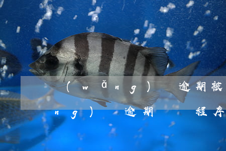網(wǎng)貸逾期被起訴流程（網(wǎng)貸逾期訴訟程序）