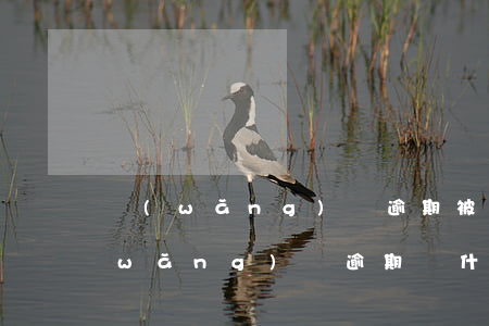 網(wǎng)貸逾期被起訴率高不高(網(wǎng)貸逾期為什么不起訴)