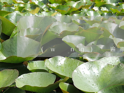網(wǎng)貸逾期被起訴發(fā)的信息-網(wǎng)貸逾期發(fā)信息說起訴
