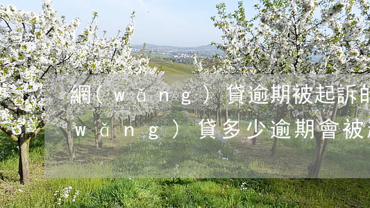 網(wǎng)貸逾期被起訴的多不多(網(wǎng)貸多少逾期會被起訴)