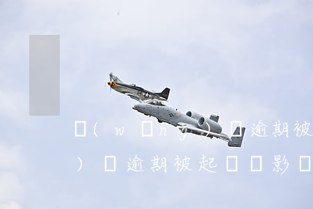 網(wǎng)貸 逾期 被起訴(網(wǎng)貸逾期被起訴會影響孩子嗎)
