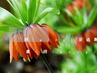網(wǎng)貸逾期被起訴缺席有什么后果?-網(wǎng)貸逾期被起訴缺席有什么后果嗎