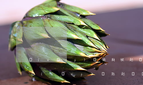 網(wǎng)貸逾期被起訴能減免利息嗎（網(wǎng)貸能起訴減免利息么）