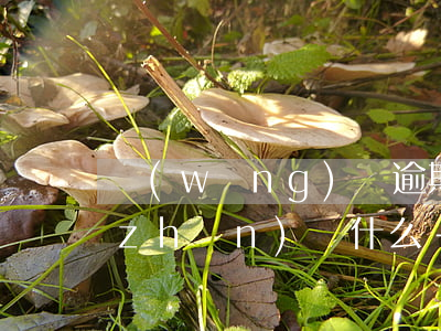 網(wǎng)貸逾期被起訴自己需要準(zhǔn)備什么-網(wǎng)貸逾期被起訴自己需要準(zhǔn)備什么材料