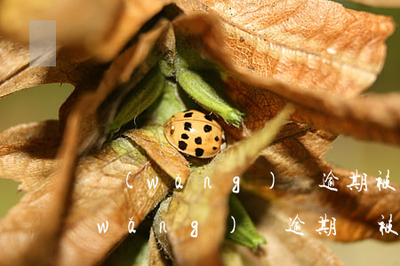 網(wǎng)貸逾期被起訴要做什么(網(wǎng)貸逾期會被起訴么)
