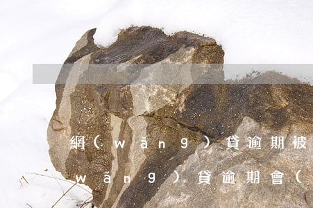 網(wǎng)貸逾期被起訴要坐牢嗎(網(wǎng)貸逾期會(huì)不會(huì)坐牢)