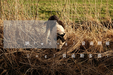 網(wǎng)貸逾期被起訴要多久（網(wǎng)貸逾期多長(zhǎng)時(shí)間后起訴會(huì)失效）