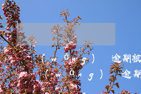 網(wǎng)貸逾期被起訴要審理多次嗎(網(wǎng)貸逾期多久會(huì)被法院起訴)