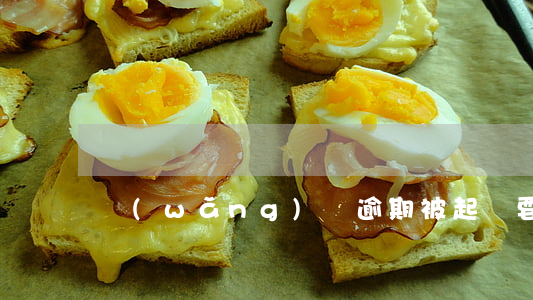 網(wǎng)貸逾期被起訴要支付訴訟費嗎