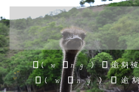 網(wǎng)貸逾期被起訴請律師多少錢 網(wǎng)貸逾期起訴要多少錢