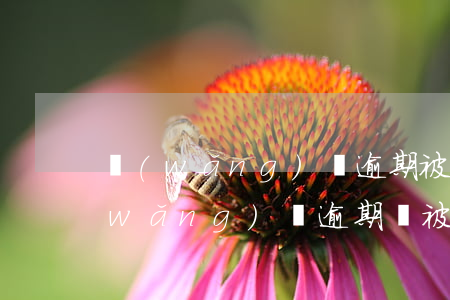 網(wǎng)貸逾期被起訴逾期利息(網(wǎng)貸逾期會被起訴么)