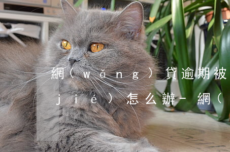 網(wǎng)貸逾期被起訴銀行卡凍結(jié)怎么辦-網(wǎng)貸逾期被起訴銀行卡凍結(jié)怎么辦呢