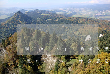 網(wǎng)貸逾期被轉(zhuǎn)賣(mài)什么意思(網(wǎng)貸逾期被轉(zhuǎn)賣(mài)什么意思)