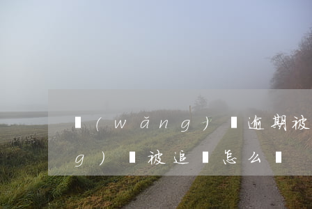 網(wǎng)貸逾期被追債-網(wǎng)貸被追債怎么辦