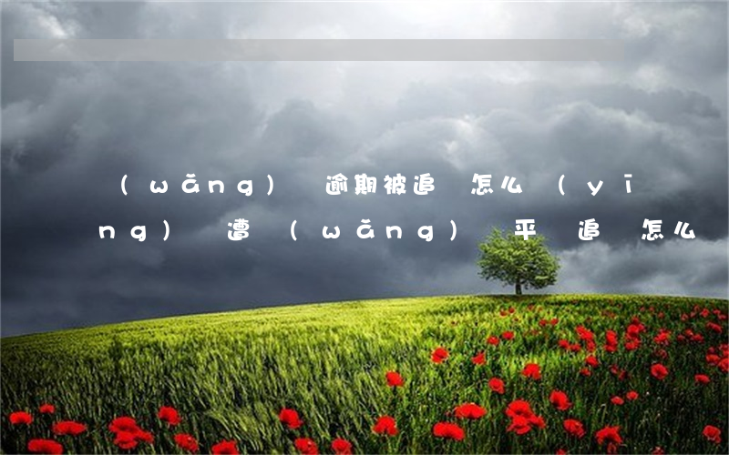 網(wǎng)貸逾期被追債怎么應(yīng)對(遭網(wǎng)貸平臺追債怎么辦)