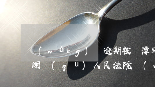 網(wǎng)貸逾期被鷹潭司法局(鷹潭月湖區(qū)人民法院網(wǎng)貸)