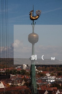網(wǎng)貸逾期要上法庭真的嗎