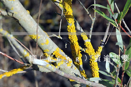 網(wǎng)貸逾期要不要解綁