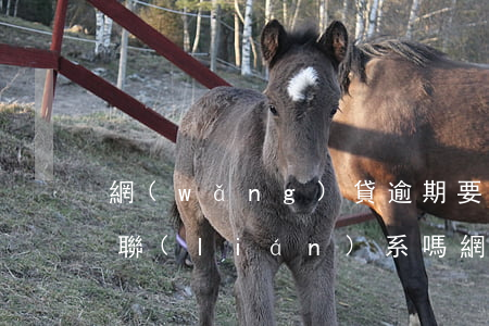 網(wǎng)貸逾期要主動(dòng)聯(lián)系嗎(網(wǎng)貸逾期會(huì)不會(huì)聯(lián)系公司)