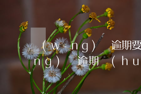 網(wǎng)貸逾期要了解公司(網(wǎng)貸逾期會(huì)去單位調(diào)查嗎)