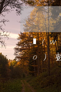 網(wǎng)貸逾期要來單位調(diào)查(網(wǎng)貸逾期要來單位調(diào)查)