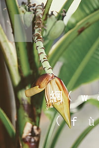 網(wǎng)貸逾期要多久征信才能恢復(fù)正常-網(wǎng)貸逾期要多久征信才能恢復(fù)正常呢