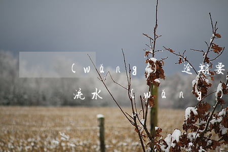 網(wǎng)貸逾期要我準(zhǔn)備流水(網(wǎng)貸逾期要我準(zhǔn)備流水)