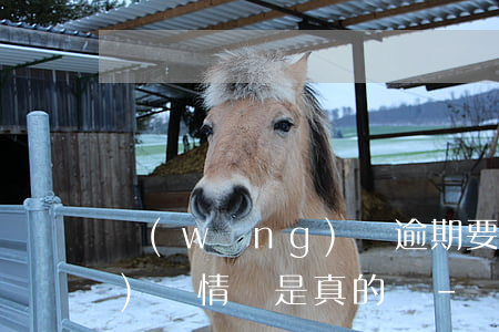 網(wǎng)貸逾期要核查經(jīng)濟情況是真的嗎-網(wǎng)貸逾期要核查經(jīng)濟情況是真的嗎嗎