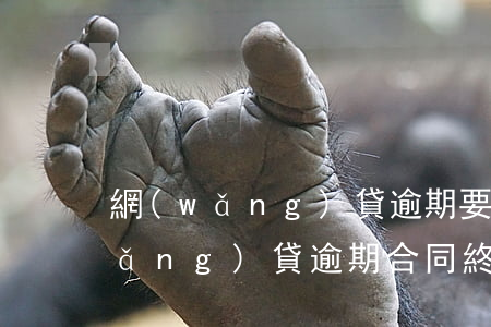 網(wǎng)貸逾期要求全款歸還(網(wǎng)貸逾期合同終止還全款)