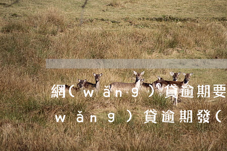 網(wǎng)貸逾期要求展期打欠條(網(wǎng)貸逾期發(fā)短信內(nèi)容)