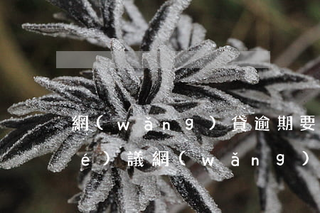 網(wǎng)貸逾期要求簽違約協(xié)議(網(wǎng)貸逾期協(xié)商還本金注意)