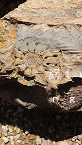 網(wǎng)貸逾期要讓加微信(網(wǎng)貸逾期催收加微信加不加)