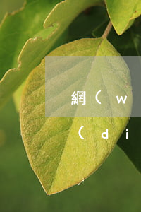 網(wǎng)貸逾期規(guī)定幾點(diǎn)之前必須換怎辦-網(wǎng)貸幾點(diǎn)還不算逾期